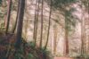 A photo to represent the Wills, Probate & Trusts service provided by Thomas Flavell & Sons